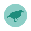 Weka